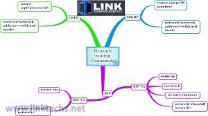 Dynamic Routing Training Video